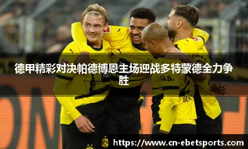 德甲精彩对决帕德博恩主场迎战多特蒙德全力争胜